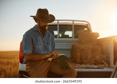 Farmer using work gloves while stacking hay bales in pick-up truck at sunset. Copy space.