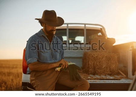 Farmer using work gloves while stacking hay bales in pick-up truck at sunset. Copy space.