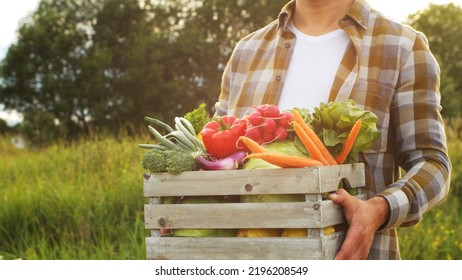 Farmer with a vegetable box in front of a sunset agricultural landscape. Man in a countryside field. Country life, food production, farming and country lifestyle. - Shutterstock ID 2196208549