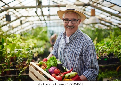 Farmer With Vegetables