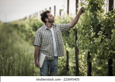 Farmer in vineyard using laptop - Powered by Shutterstock