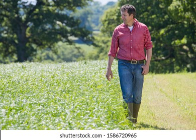 Farmer walking beside grass silage crop in field - Powered by Shutterstock