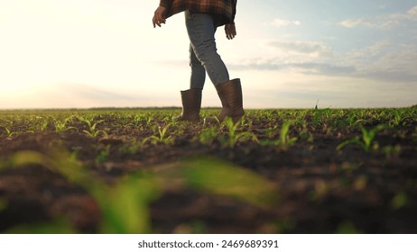 Farmer walking corn sprouts in field. agriculture a business concept. The farmers feet touch corn field. close-up of a lifestyle farmers legs in rubber boots walking through a corn field - Powered by Shutterstock