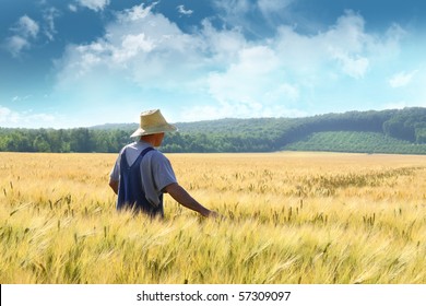 Farmer Walking Through A Golden Wheat Field