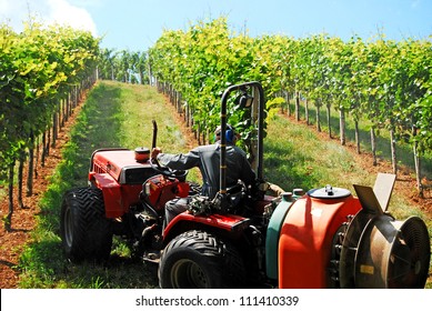 a farmer watering the vineyards with a tractor