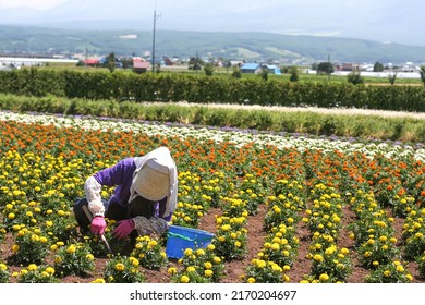 Farmer Wear Full Body Sun Protection Clothing, Working In Garden In Summer