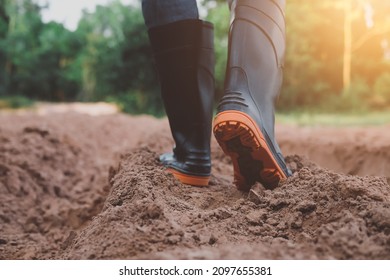 farmer wears boots walking on the ridge, farming concept, cultivation and agriculture - Shutterstock ID 2097655381