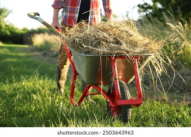 Farmer with wheelbarrow full of mown grass outdoors on sunny day, closeup