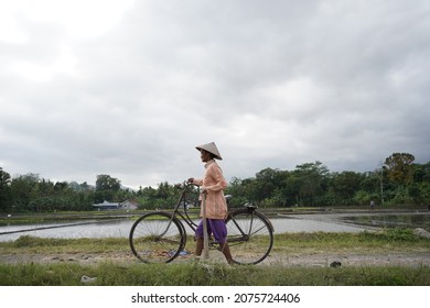 a farmer who walks with a bicycle is heading to the rice fields. : Bantul, Indonesia - 12 September 2021