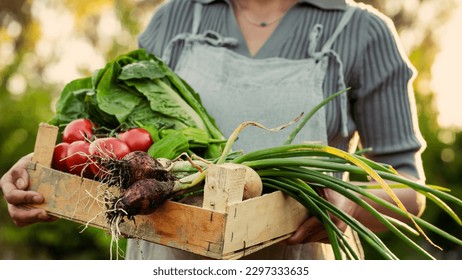 Farmer woman holding vegetable crate - Powered by Shutterstock