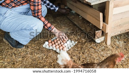 Similar – Image, Stock Photo Eggs in a carton