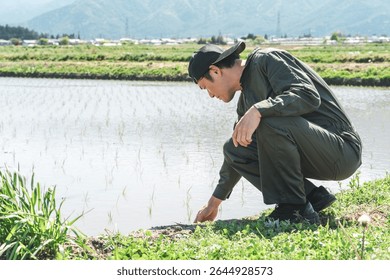 A farmer in work clothes checking the condition of a rice field
