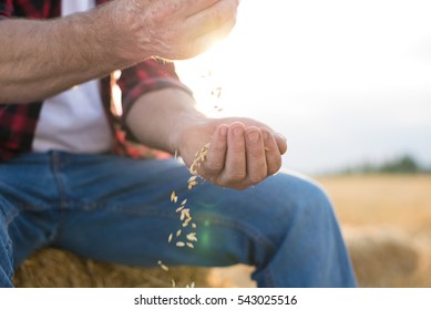 Agricultor que trabalha no terreno