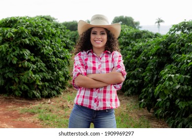 Farmer Working On Coffee Field At Sunset Outdoor
