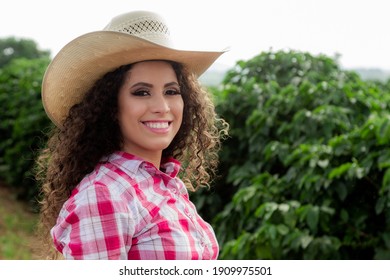 Farmer Working On Coffee Field At Sunset Outdoor
