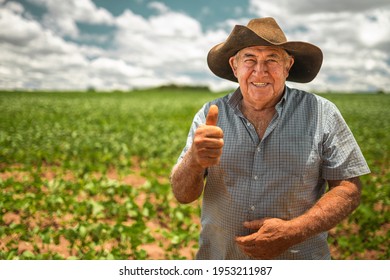 Farmer working on soybean plantation. Elderly man looking at camera with thumbs up - Powered by Shutterstock