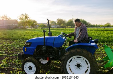 The farmer works in the field with a tractor. Harvesting potatoes. Harvest first potatoes in early spring. Farming and farmland. Agro industry and agribusiness. Support for farms - Shutterstock ID 1983154643