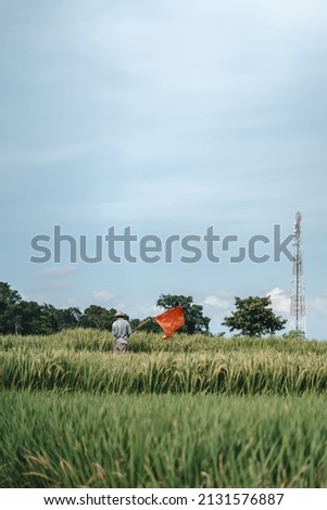 A farmer wroking in an oat field in Bali, Indonesia