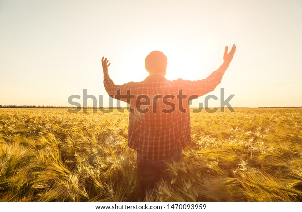 Farmer Young Handsome Farmer Standing Wheat Stock Photo (Edit Now ...