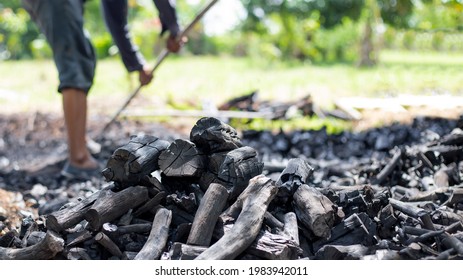 Farmers Burn Charcoal From Wood Cut Off From The Farm.
