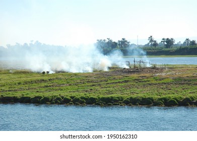 Farmers Burning Field In The Nile Delta