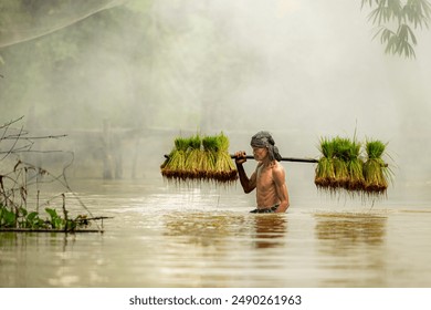 Farmers carry seedlings across the river to plant in the fields - Powered by Shutterstock