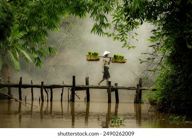 Farmers carry seedlings across the river on bridges - Powered by Shutterstock