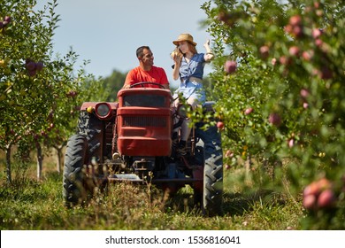 Woman Farmer Apple Tree Images Stock Photos Vectors Shutterstock