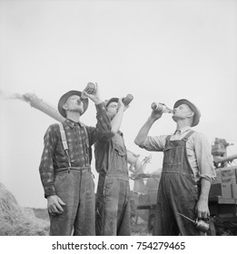 Farmers drinking beer during fall harvest in Jackson, Michigan. Fall 1941. In the background is a potentially dangerous harvesting machine, that requires alert workers.