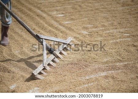 Similar – Image, Stock Photo stilt barrel Animal