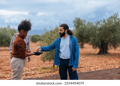 Farmers examining olives during harvest in an olive grove, ensuring the quality of their crop - Powered by Shutterstock