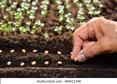 Farmer's hand planting seeds in soil - Powered by Shutterstock