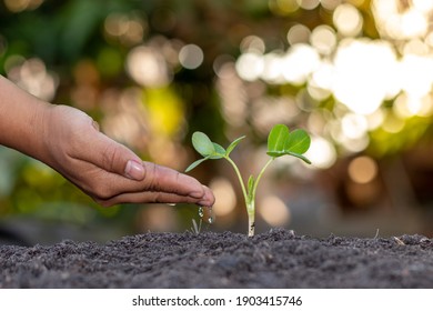 種 の画像 写真素材 ベクター画像 Shutterstock