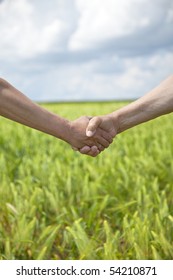 Farmers handshake in green wheat field.