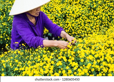 153 Quynh Flower Images, Stock Photos & Vectors | Shutterstock