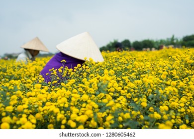 153 Quynh Flower Images, Stock Photos & Vectors | Shutterstock