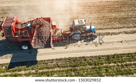 Similar – Image, Stock Photo Machine harvest sugar beet.