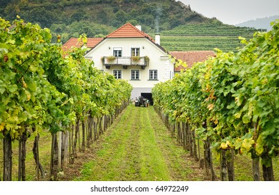 Farmers House in an austrian Vineyard