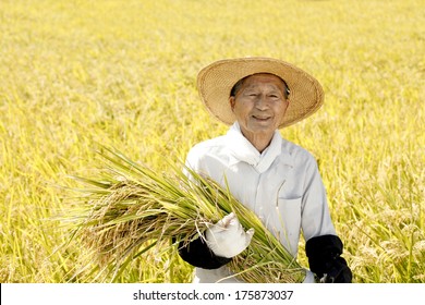 Farmers of Japan celebrates good harvest