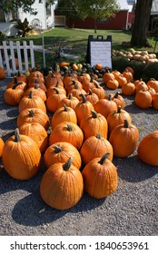 Farmers Market, Finger Lakes, NY