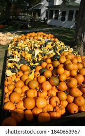 Farmers Market, Finger Lakes, NY