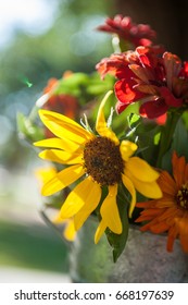 Farmers Market Flowers