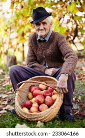 Farmers Market, Healthy Food: Senior Farmer Displaying Organic Homegrown Apples In A Basket