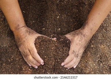 Farmers Mix The Soil To Grow Crops. Provide The Minerals That Plants Need It Is Growing Fast And Strong.