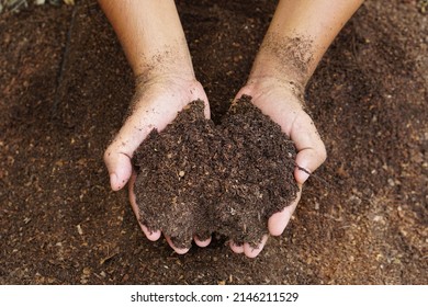 Farmers Mix The Soil To Grow Crops. Provide The Minerals That Plants Need It Is Growing Fast And Strong.