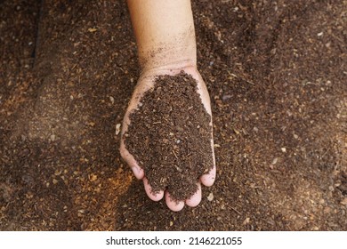 Farmers Mix The Soil To Grow Crops. Provide The Minerals That Plants Need It Is Growing Fast And Strong.