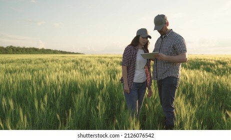 farmers shake hands on field with wheat, teamwork in agriculture, business for production of grain products, meeting of agronomists plantations land, looking into tablet while standing soil with rye - Shutterstock ID 2126076542