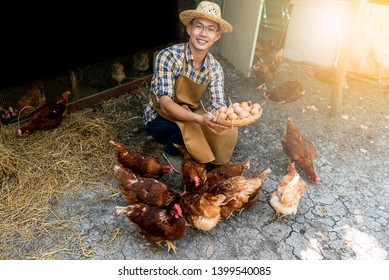 Farmers are smiling, happy by collecting many fresh eggs, Which is a product from the hens in the farm, to chicken farm concept. - Powered by Shutterstock