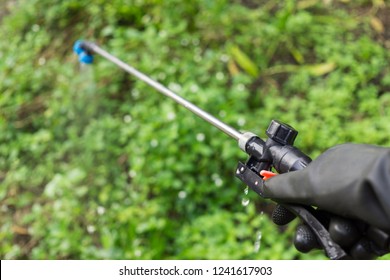 Farmers Are Spraying Herbicide On Garden