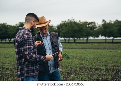 Farmers Talking On Corn Field